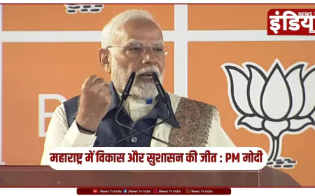 महाराष्ट्र चुनाव में भाजपा की ऐतिहासिक जीत, पीएम मोदी बोले- विकास और सुशासन की जीत