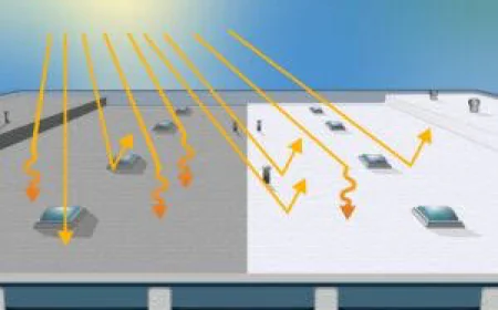 दिल्ली के बस टर्मिनल और सरकारी इमारतों पर लगेगी कूल रूफ तकनीक, गर्मी से मिलेगी राहत