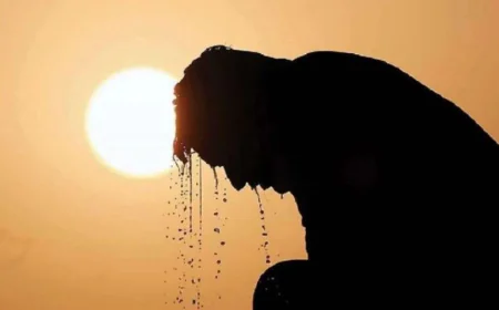 मानसून और नौतपा: समझिए भारत की जीवनरेखा और गर्मी के प्रचंड दिनों का क्या है कनेक्शन?