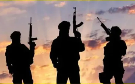 अमेरिका ने ‘द रेजिस्टेंस फ्रंट’ (TRF) को विदेशी आतंकी संगठन घोषित किया