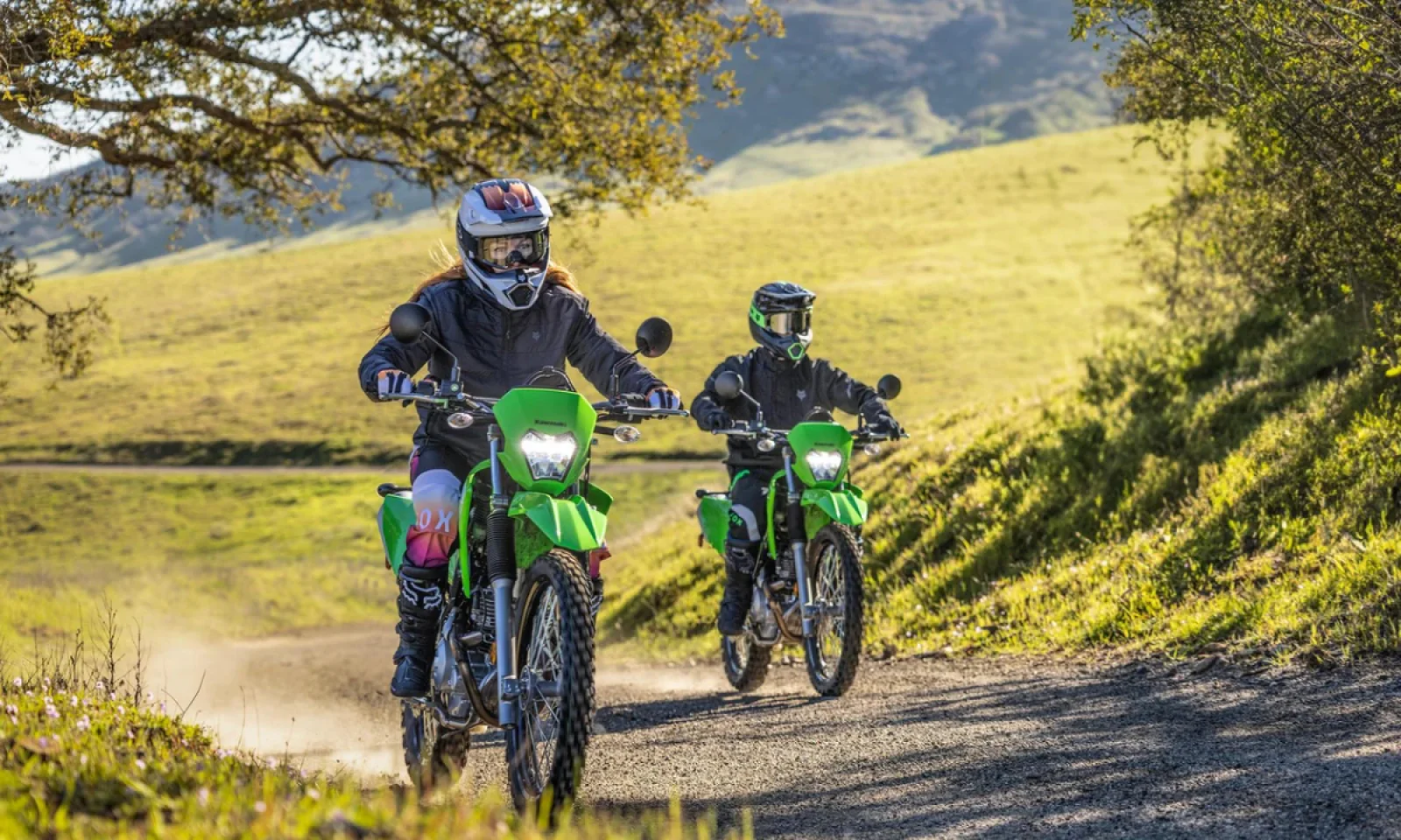 इंतजार हुआ खत्म Locally-built Kawasaki KLX230 हुई लॉन्च , ऑफ रोडिंग में देगी टक्कर