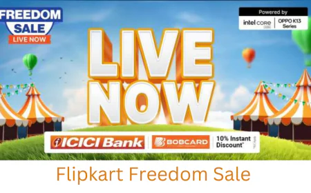 आज से शुरू हुई Flipkart Freedom Sale मिल रही 60% तक की छूट , जानें डिटेल्स में