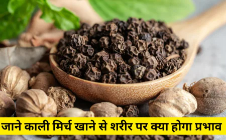 काली मिर्च खाने से शरीर पर पड़ने वाले असर को जान चौंक जाएंगे , जानें फायदे और नुकसान