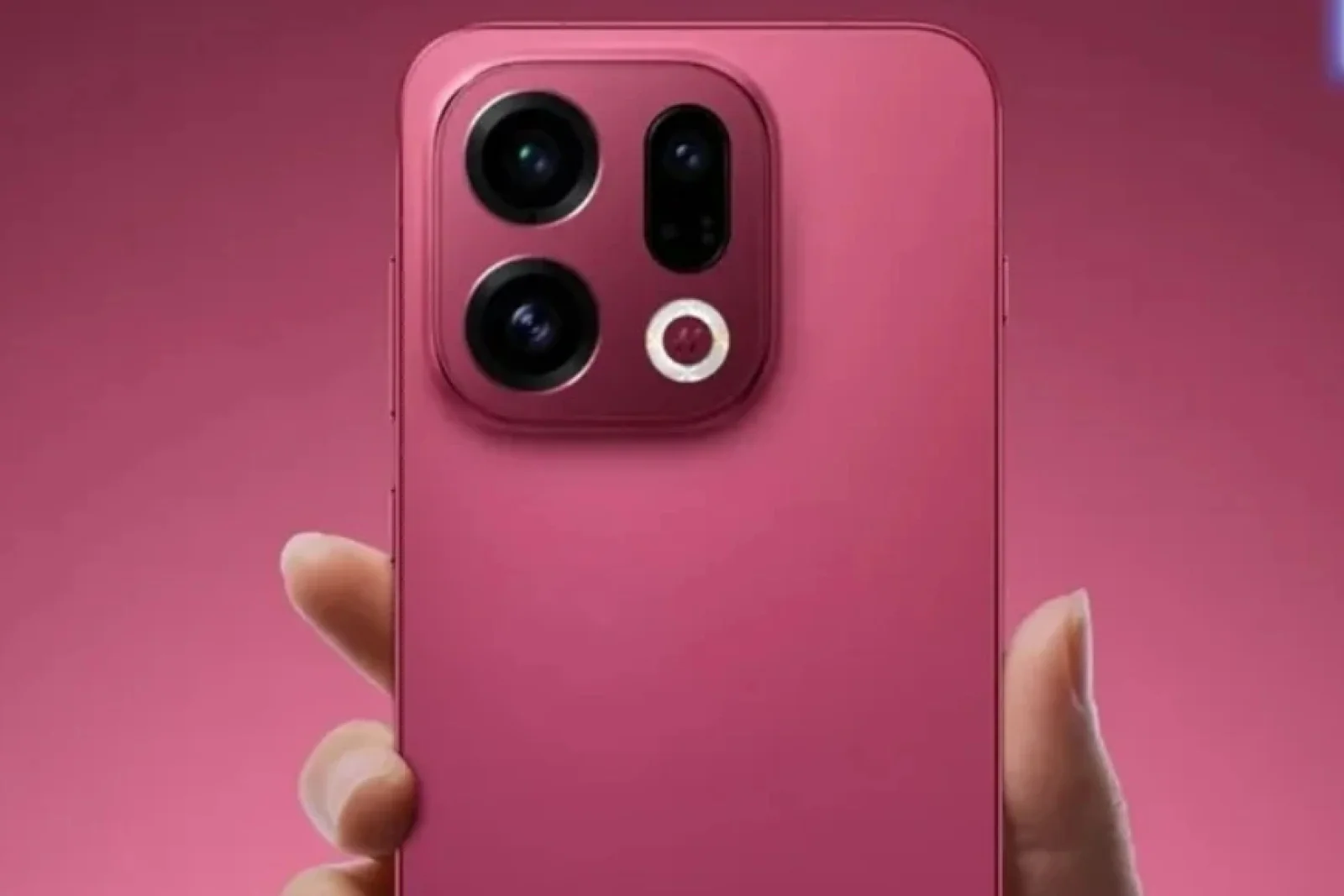 Social Media : Instagram 