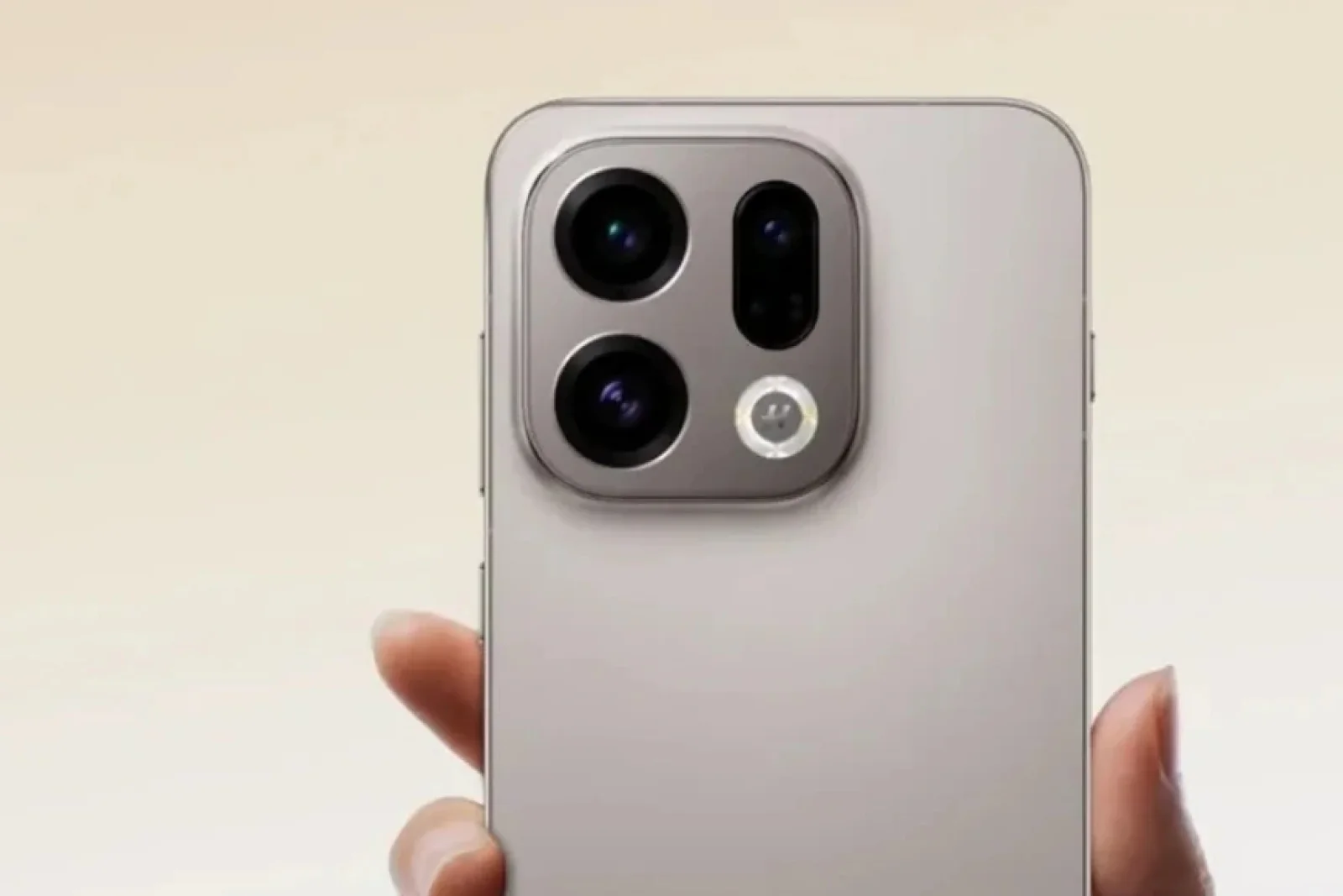 Social Media : Instagram 