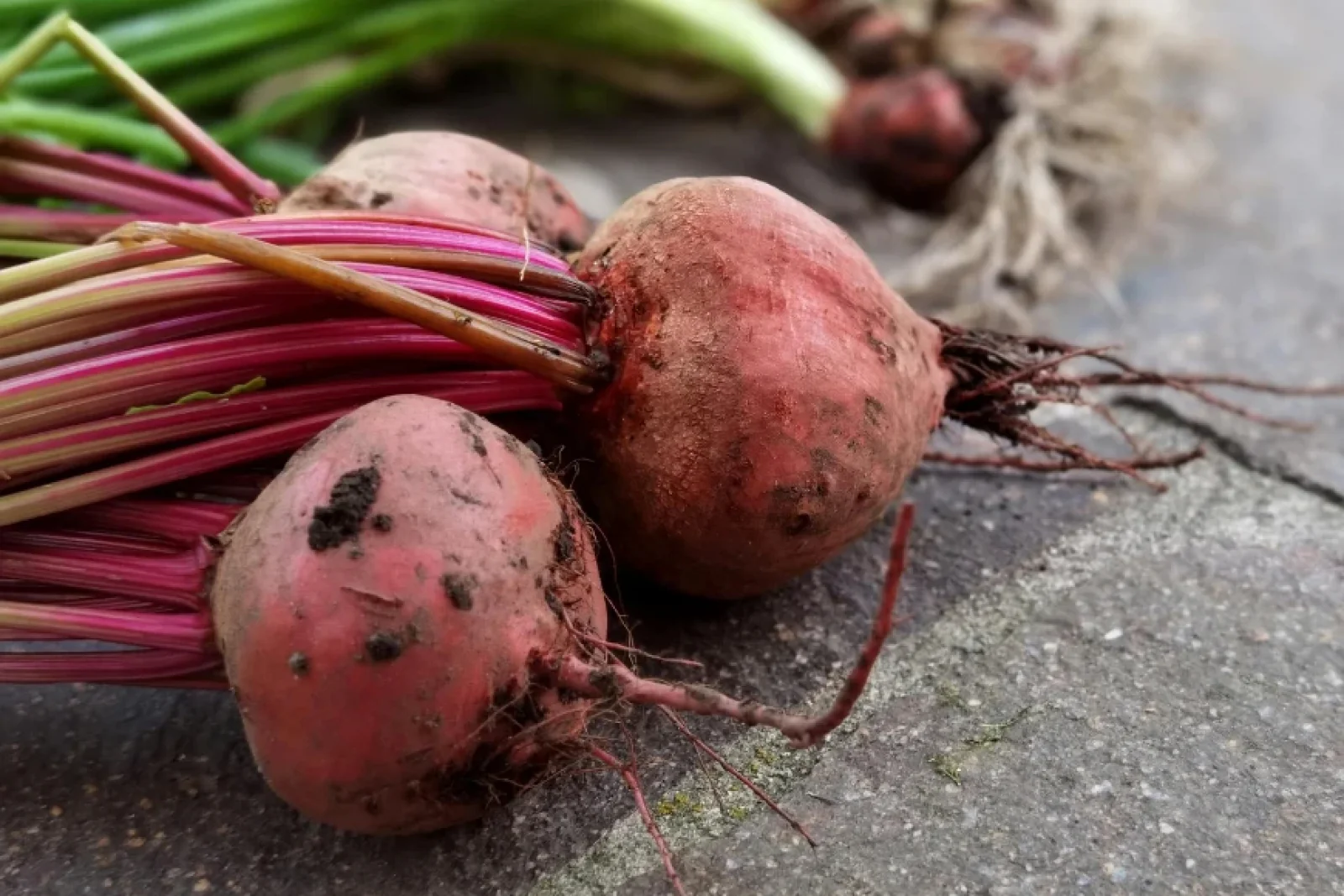 The News Tv India Official 