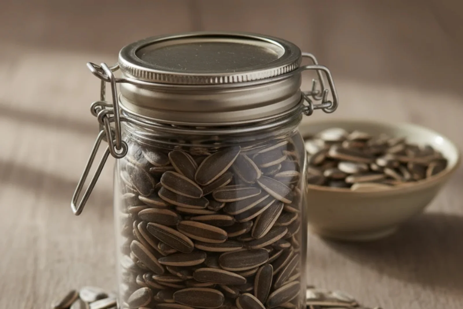 Google Gemini Official Website