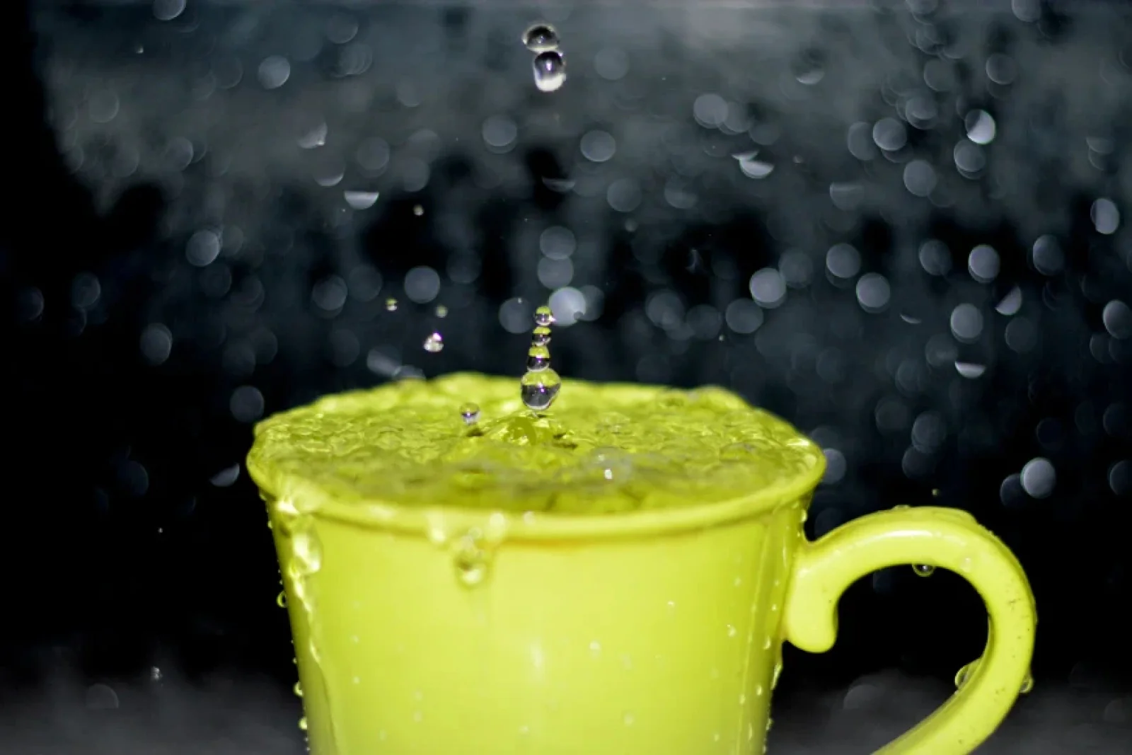 The News Tv India Official 