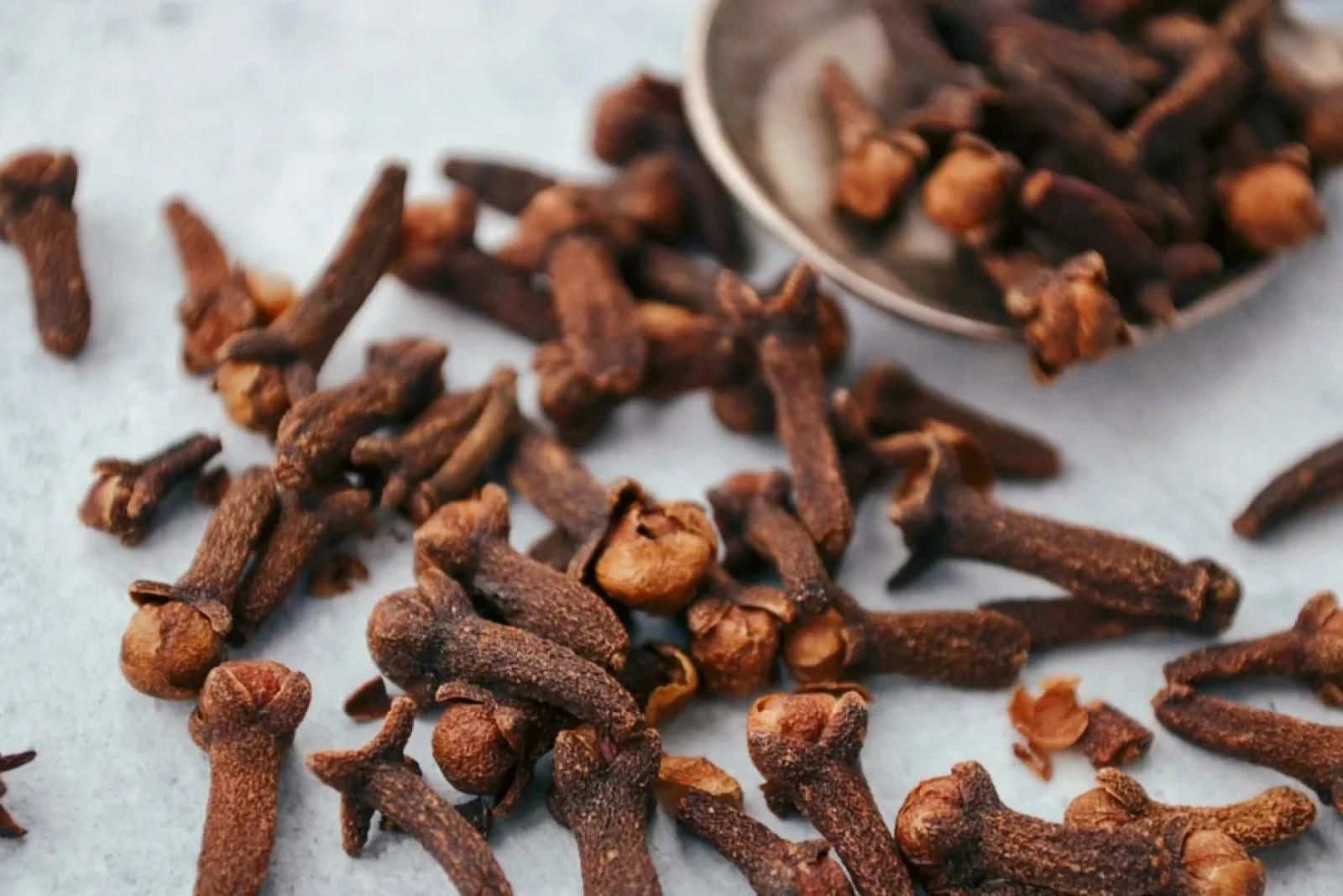 The News Tv India Official 