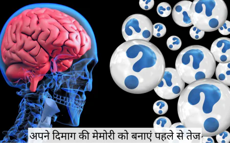 जानें क्या खाने से होगी आपके दिमाग की मेमोरी तेज आज से ही डाइट में शामिल करें यह चीजें