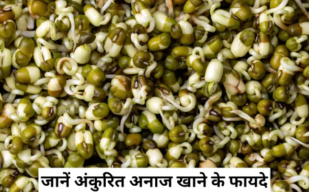 अंकुरित अनाज खाने के फायदे जान रह जाएंगे हैरान जानें खानें का सही तरीका स्टेप बाय स्टेप