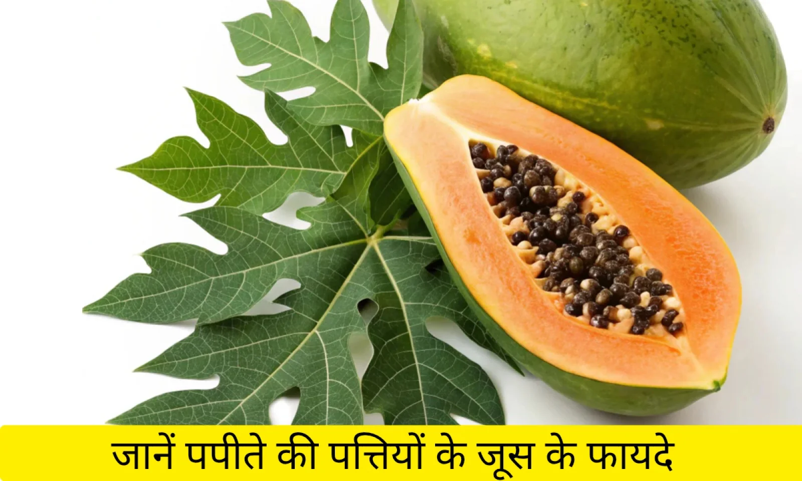 पपीते की पत्तियों का जूस बनाएगा आपको हेल्दी जानें फायदे , यूज करने का तरीका और सावधानियां