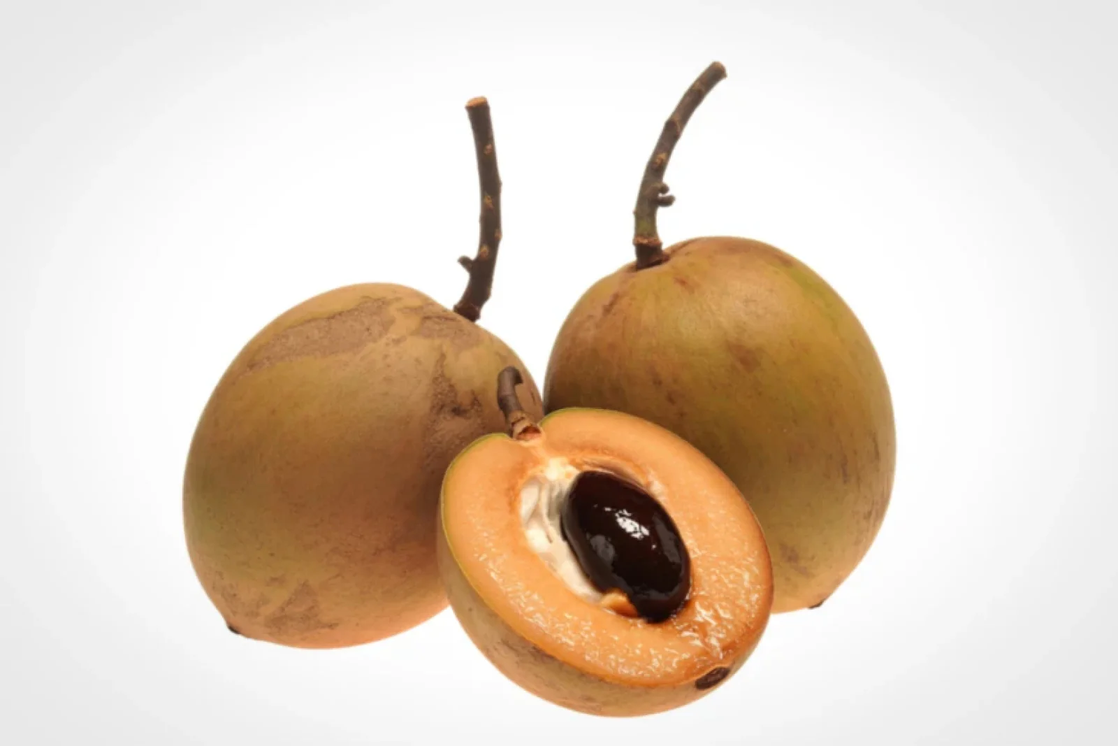 Canva Official Website 