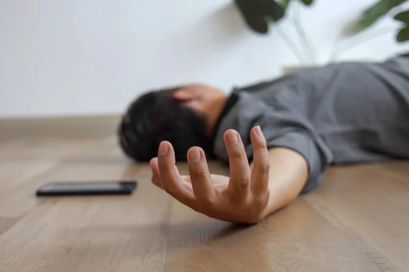 The News Tv India Official 