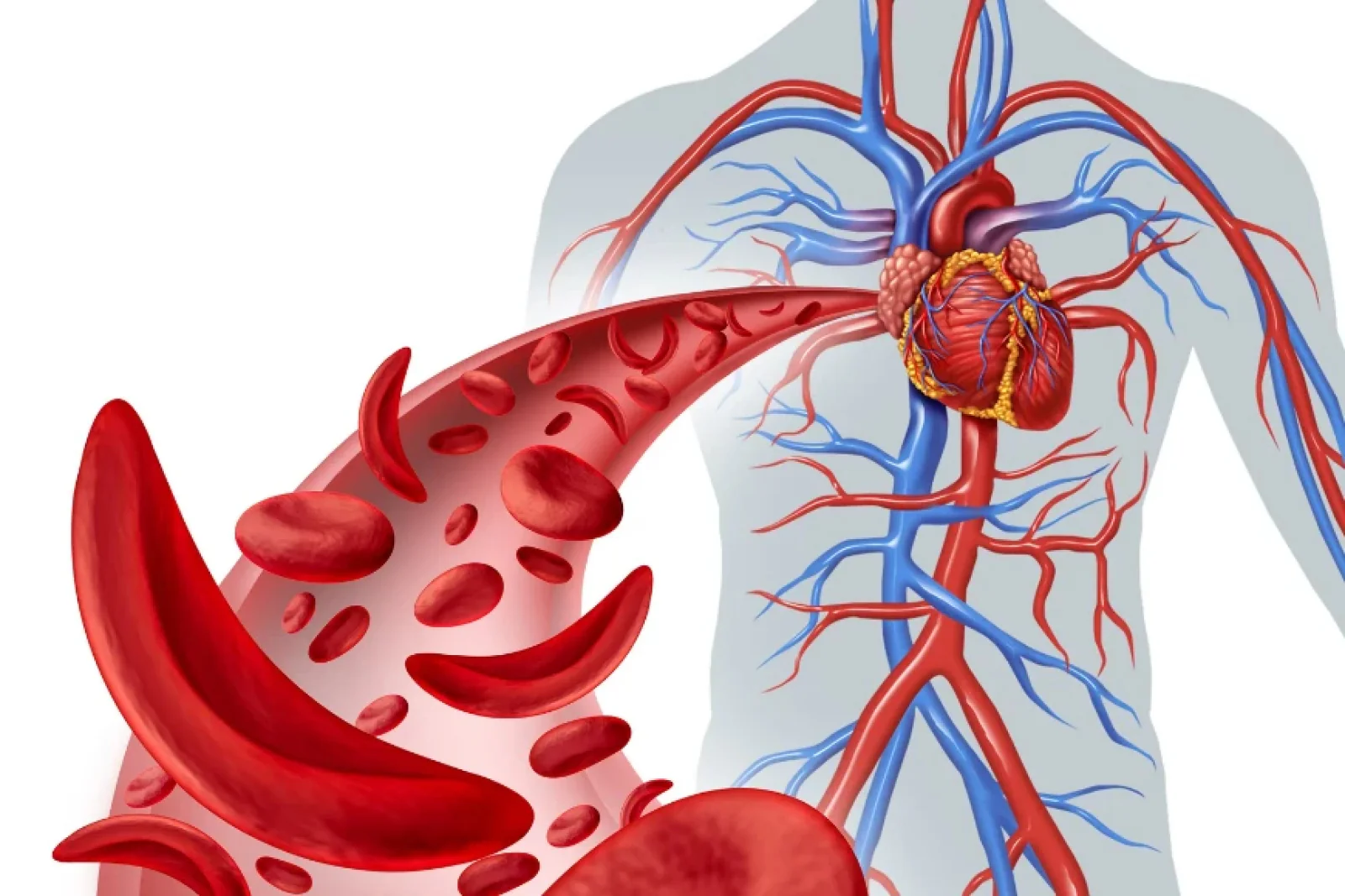 The News Tv India Official 