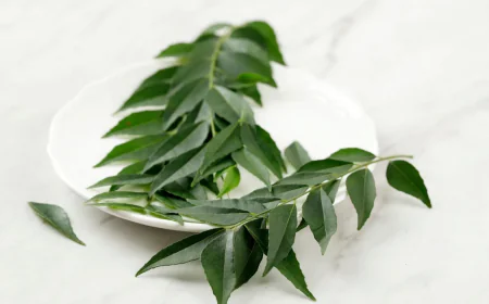 करी पत्ता खाने से होंगे कई सारे फायदे जानें इसके बेनिफिट्स और इसमें पाए जाने वाले गुण