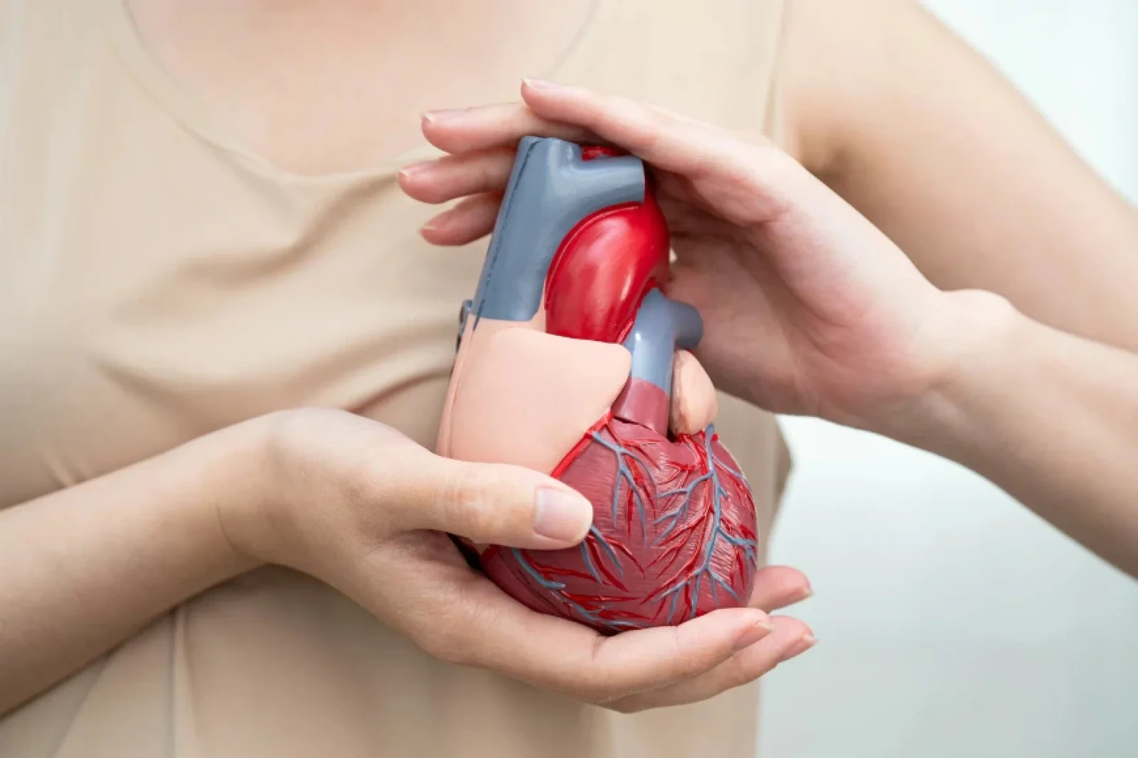 The News Tv India Official 