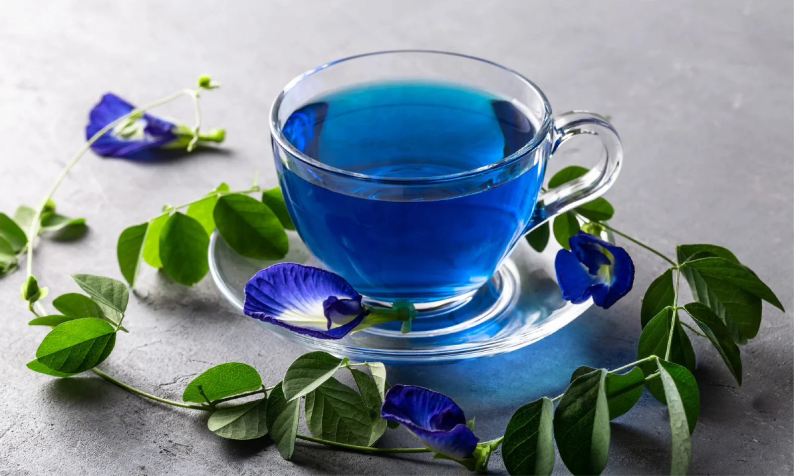 ब्लू टी में छिपे है कई सारे गुण इससे मिलेंगे हेल्थ को कई सारे बेनिफिट्स जानें डिटेल्स में