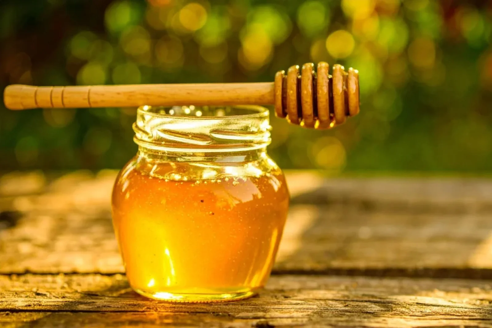 The News Tv India Official 