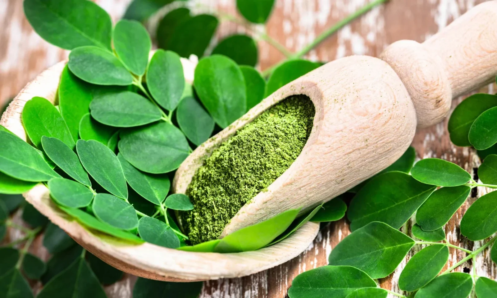 मोरिंगा की पत्तियां है न्यूट्रिएंट्स से भरपूर मिलेंगे कई सारे एंटीऑक्सीडेंट गुण जानें